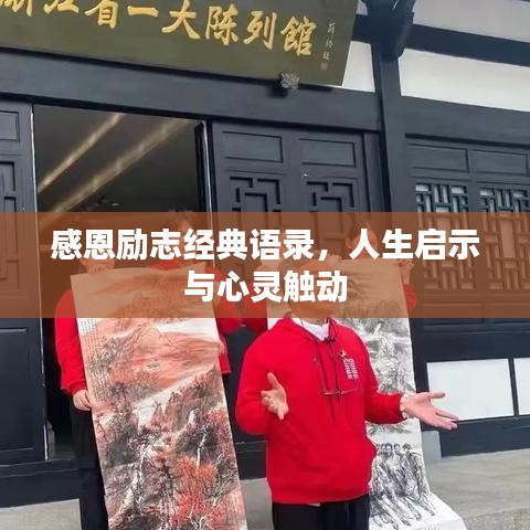 电视机