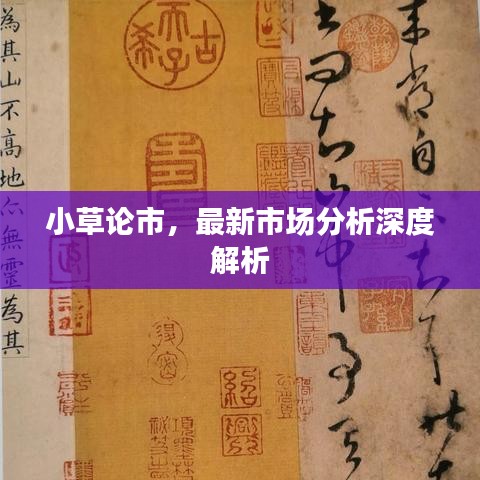 小草论市，最新市场分析深度解析