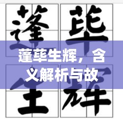 蓬荜生辉，含义解析与故事背景揭秘