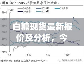 白糖现货最新报价及分析，今日市场走势与影响因素全解析
