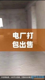 电厂打包出售信息更新揭秘，最新动态一网打尽！