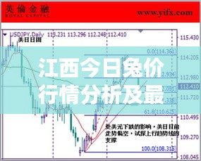 江西今日兔价行情分析及最新价格走势