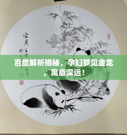百度解析揭秘，孕妇梦见金龙，寓意深远！