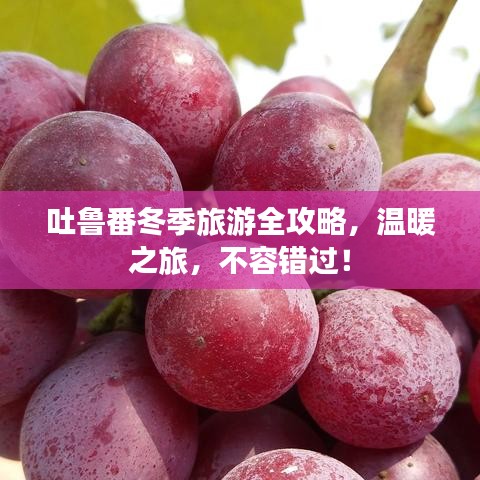 吐鲁番冬季旅游全攻略，温暖之旅，不容错过！