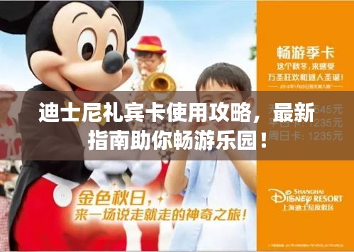 迪士尼礼宾卡使用攻略，最新指南助你畅游乐园！
