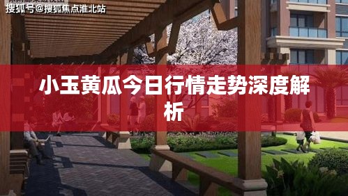 小玉黄瓜今日行情走势深度解析