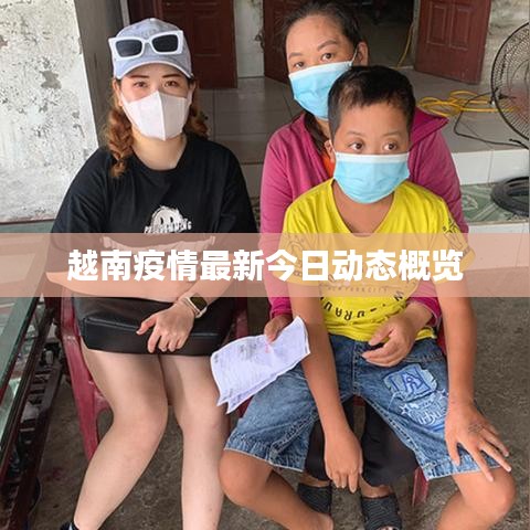 越南疫情最新今日动态概览