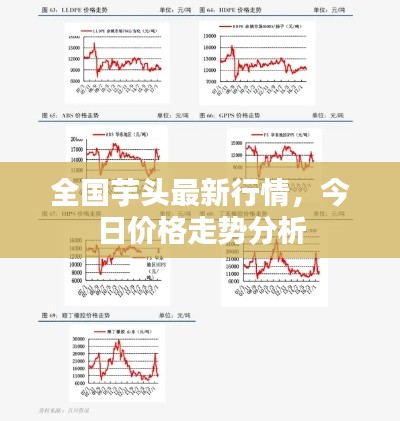 全国芋头最新行情，今日价格走势分析