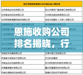 恩施收购公司排名揭晓，行业巨头榜单出炉！