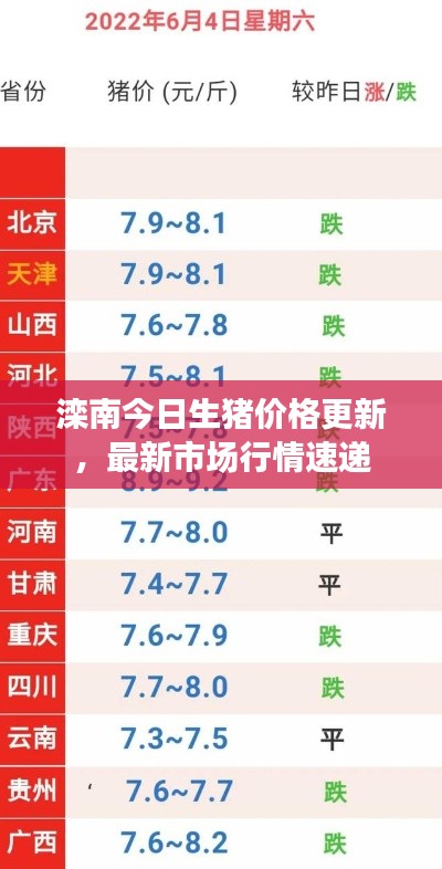 滦南今日生猪价格更新，最新市场行情速递