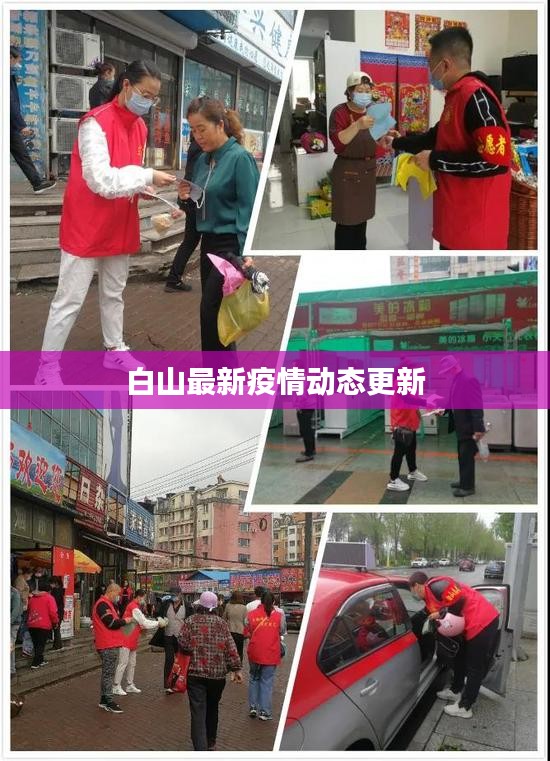 白山最新疫情动态更新