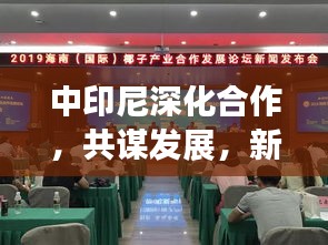 中印尼深化合作，共谋发展，新闻头条瞩目！