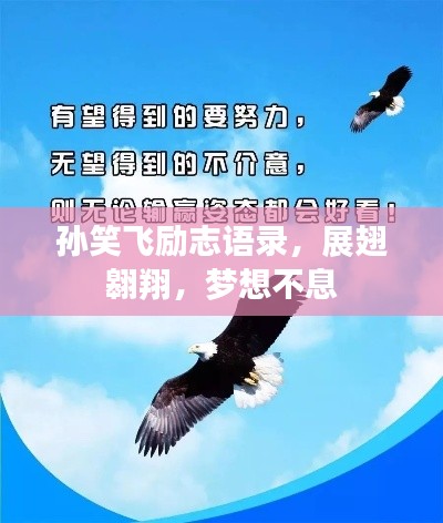 孙笑飞励志语录，展翅翱翔，梦想不息
