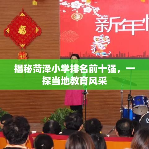 揭秘菏泽小学排名前十强，一探当地教育风采