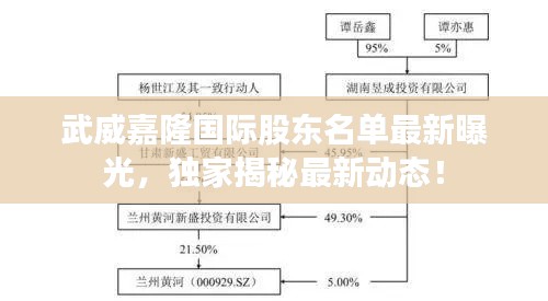 武威嘉隆国际股东名单最新曝光，独家揭秘最新动态！