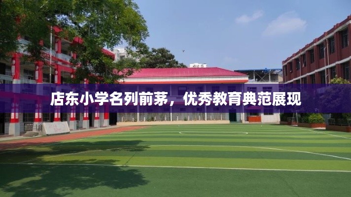 店东小学名列前茅，优秀教育典范展现