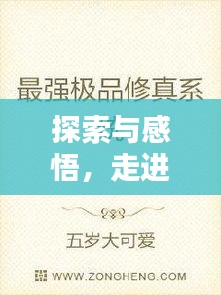 探索与感悟，走进声声慢的世界