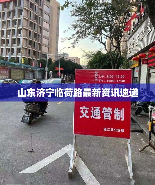 山东济宁临荷路最新资讯速递