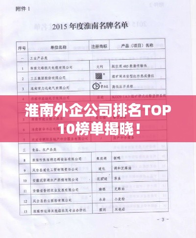 淮南外企公司排名TOP10榜单揭晓！