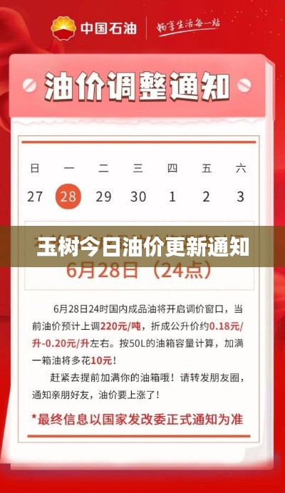 2025年6月3日 第3页