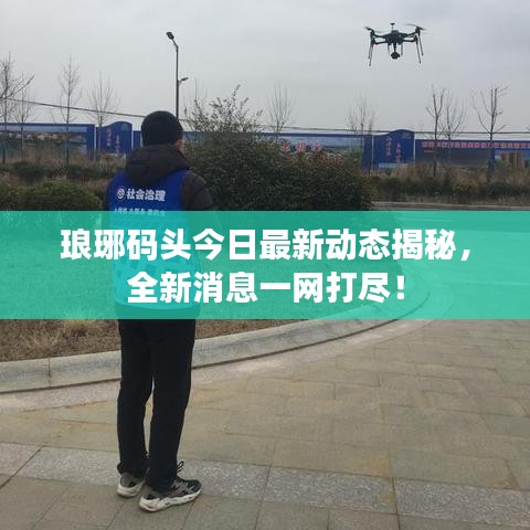 琅琊码头今日最新动态揭秘，全新消息一网打尽！
