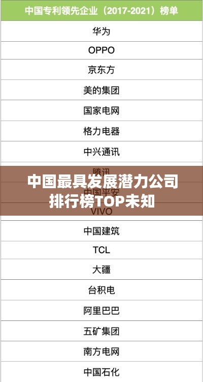 中国最具发展潜力公司排行榜TOP未知