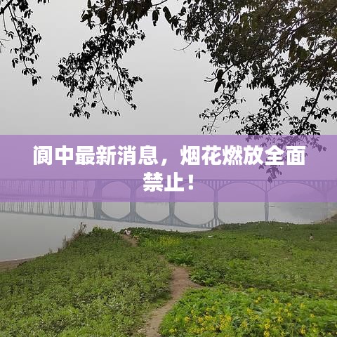 2025年6月6日 第2页