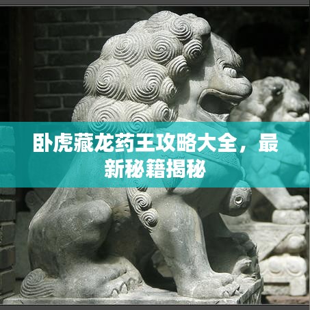 卧虎藏龙药王攻略大全，最新秘籍揭秘