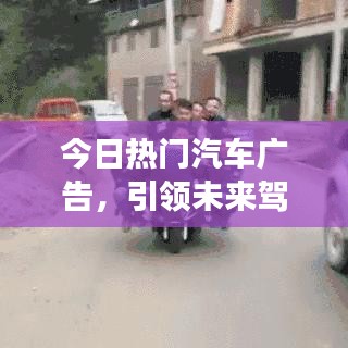 无拘无束