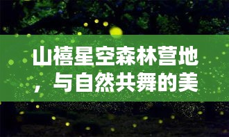 山禧星空森林营地，与自然共舞的美妙之夜实拍视频来袭！