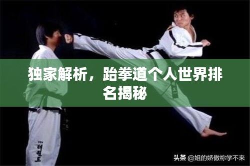 独家解析，跆拳道个人世界排名揭秘