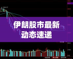 伊朗股市最新动态速递