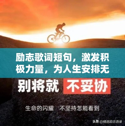 2025年6月12日 第5页