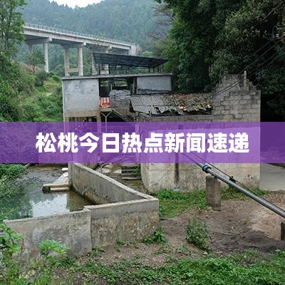 松桃今日热点新闻速递