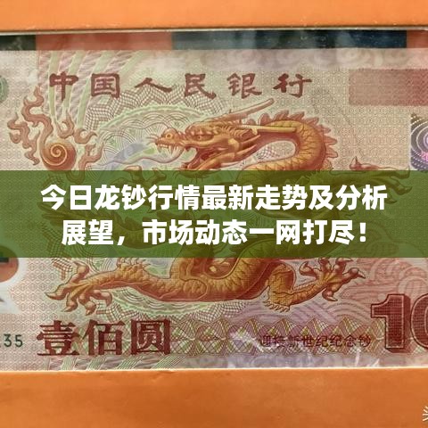 今日龙钞行情最新走势及分析展望，市场动态一网打尽！
