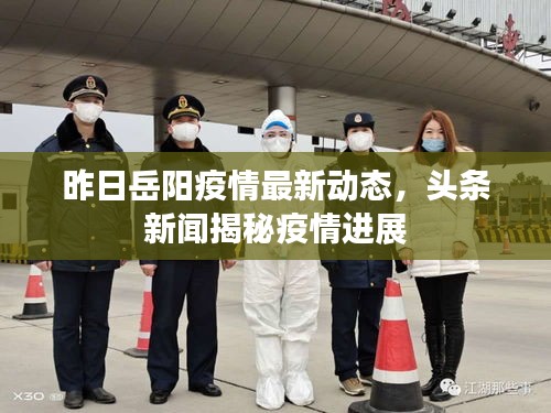 乌鸟之情