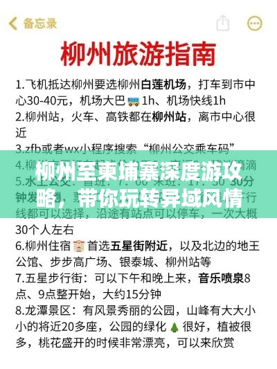 千娇百媚