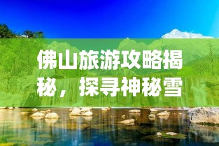 2025年6月 第28页