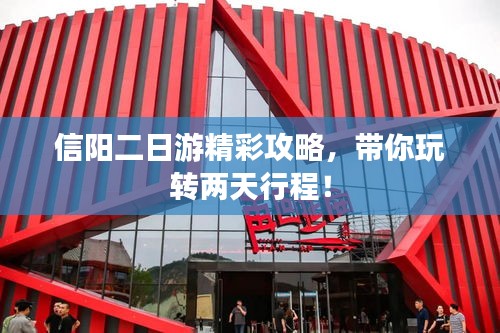 乌鸟私情