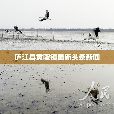 庐江县黄陂镇最新头条新闻