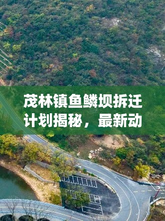 茂林镇鱼鳞坝拆迁计划揭秘，最新动态与进展