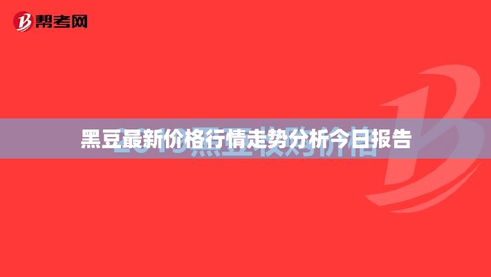 黑豆最新价格行情走势分析今日报告