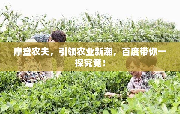 摩登农夫，引领农业新潮，百度带你一探究竟！