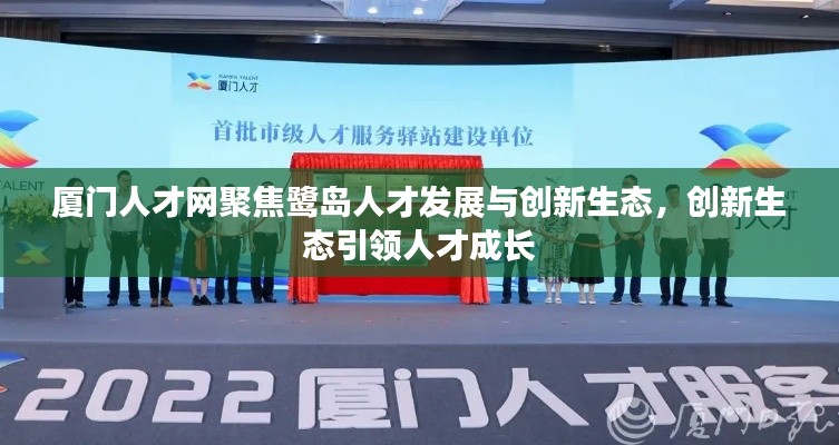 厦门人才网聚焦鹭岛人才发展与创新生态，创新生态引领人才成长