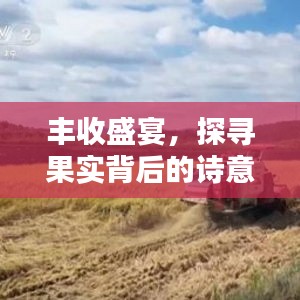 丰收盛宴，探寻果实背后的诗意世界——百度带你领略丰收的魅力