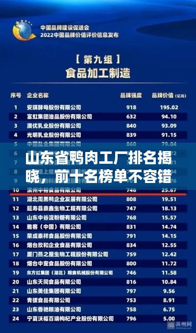 山东省鸭肉工厂排名揭晓，前十名榜单不容错过