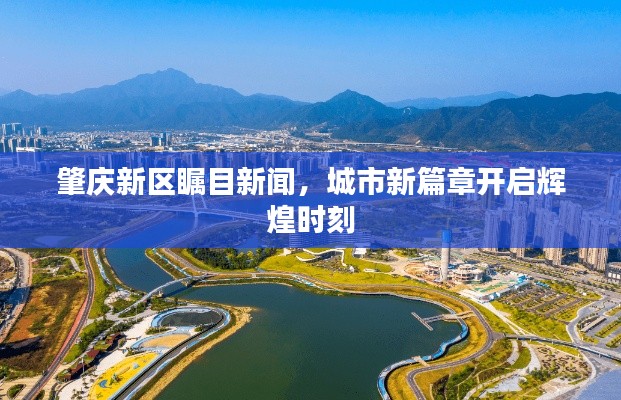 肇庆新区瞩目新闻，城市新篇章开启辉煌时刻